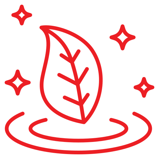 Freshness in Every Pack